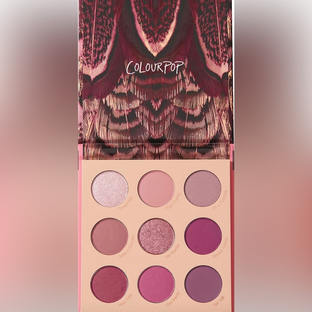 Brand new Colour Pop Pallette fine feathered 🔥3 for 20💥